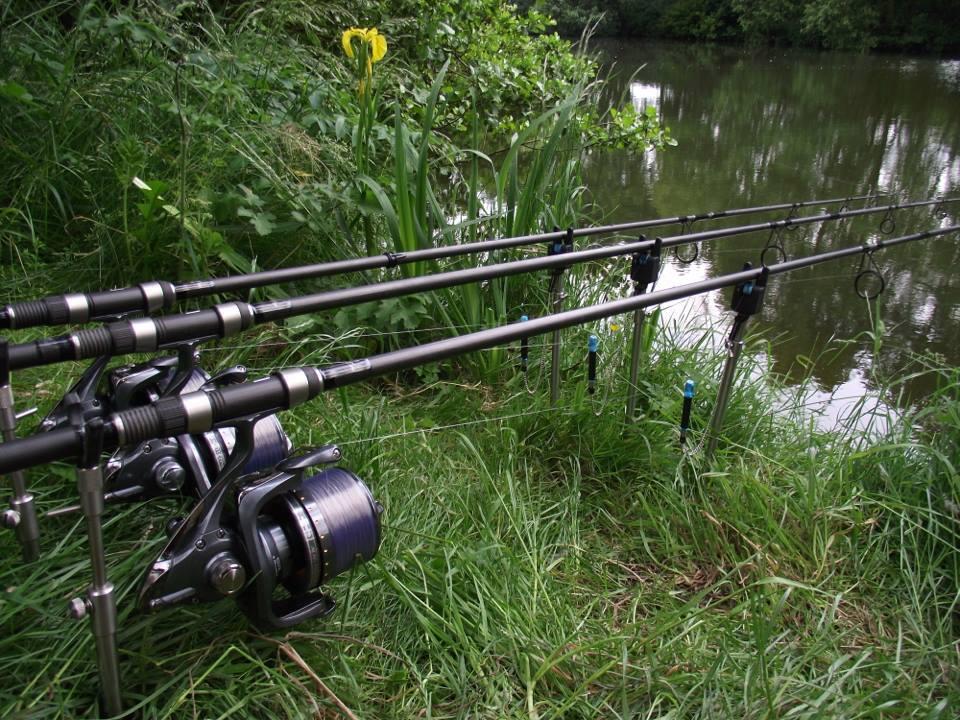 ::::::::LIKE:::::::: - 942932544723688896737389384178n.jpg